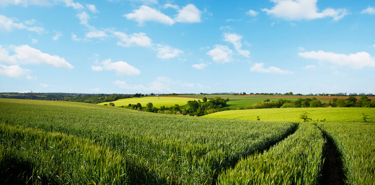 Paysage de campagne en France, vue sur les champs et les chemins &agrave; travers les prairies au printemps.