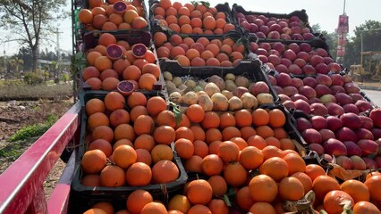 A roadside fruit stalls basket is full of oranges guavas and red apples. Many fresh fruits were displayed on the stall. - Powered by Adobe