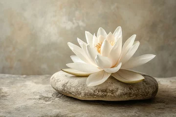 Papier Peint photo Lavable Pierres dans le sable Spa Stones And Waterlily With Fountain In Zen Garden. Detail of lotus flower on a blurred background,