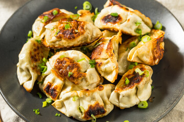 Asian Dumpling Pot Stickers Gyoza