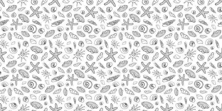 Seamless pattern with seashells. Creative marine texture. Horizontal background.