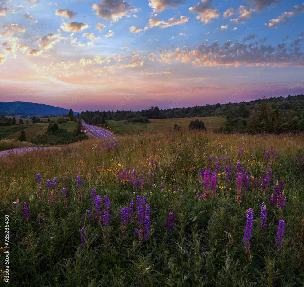 Wall mural twilight june carpathian mountain countryside meadows. with beautiful wild flowers