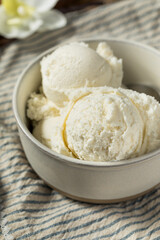Fototapeta na wymiar Sweet Homemade Vanilla Bean Ice Cream Gelato