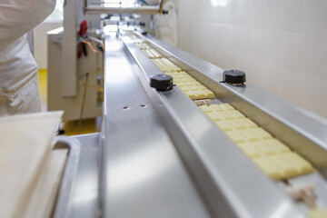 White chocolate bars on a conveyor belt.