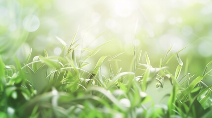 Generative AI : art abstract spring background or summer background with fresh grass - obrazy, fototapety, plakaty