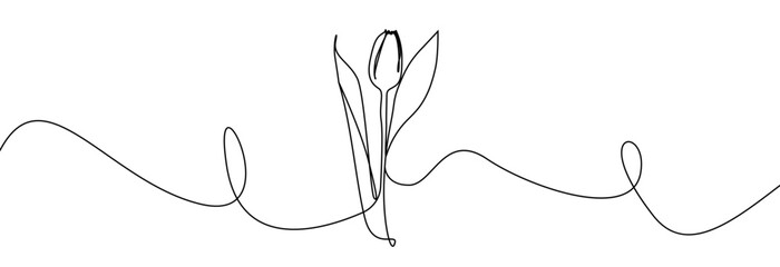 Tulip one line drawing. Flower one line. Abstract flower continuous line. Minimalist contour drawing of tulip. Continuous line drawing of flower tulip. Hand drawn sketch of flower with leaves. - obrazy, fototapety, plakaty