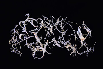 Mandarin albedo on black glass, textured abstract background