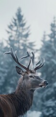 a close up of a deer with antlers on it's head in front of a snow covered forest.