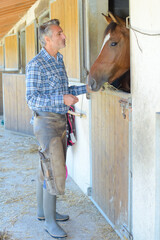 Farrier petting horse in stable