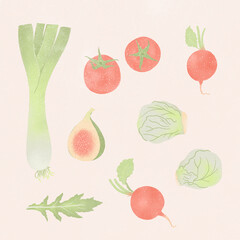 a collection of beautiful elegant natural nutritious fruit and vegetable illustrations organic wholefoods vegan vegetarian farmers market plant based lifestyle cookbook
