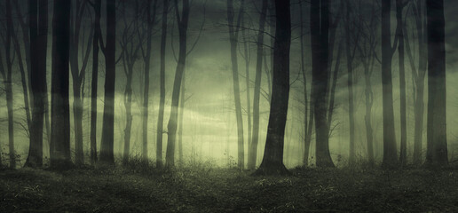 dark forest panorama, horror night scene