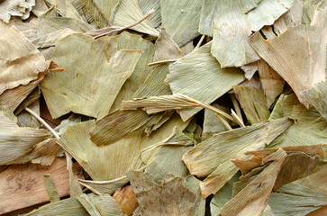 Background of dried ginkgo biloba leaves, texture, top view. Dried ginkgo biloba leaves for making tea, top view, background, texture.