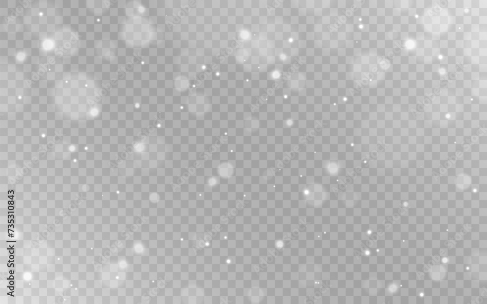 Canvas Prints bokeh light. white particles effect. bright silver circles. shining dust background. glowing sparks 