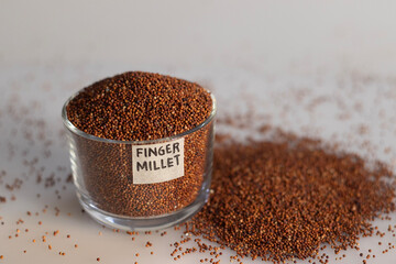 Closeup of finger millet grains kept in a glass bowl with label on it and filled to the brim
