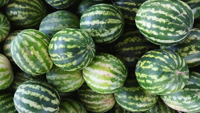 Watermelons on the fruit and vegetable market. Uzbekistan - June 29, 2023: Goods and traders at the Oriental Bazaar. Siab Bazaar is the largest and oldest bazaar in Samarkand. 4K