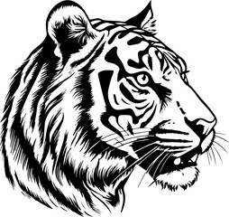 Obraz premium tiger head vector design, isolated background, hand drawn illustration style