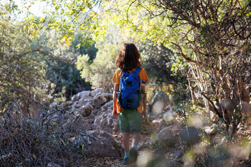 A boy with a backpack walks through the forest.  a child explores the wild nature, a cheerful child walks along a path among the trees.