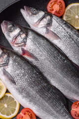 Fresh raw ocean sea bass fish with salt, spices and herbs
