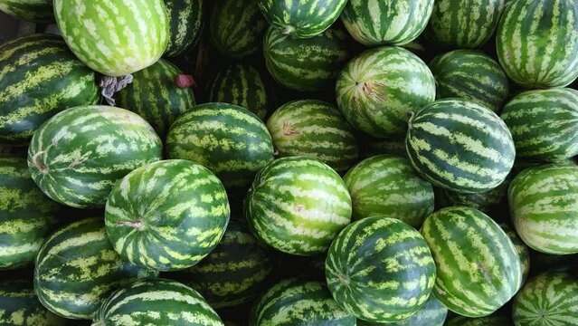 Watermelons on the fruit and vegetable market. Uzbekistan - June 29, 2023: Goods and traders at the Oriental Bazaar. Siab Bazaar is the largest and oldest bazaar in Samarkand. 4K