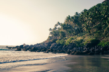 Plage et palmiers à Goa en Inde