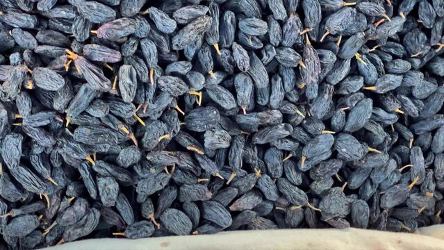 Dried Fruits, nuts and Spices market in Samarkand, Uzbekistan - June 29, 2023: Goods and traders at the Oriental Bazaar in Uzbekistan. Siab Bazaar is the largest and oldest bazaar in Samarkand. 4K