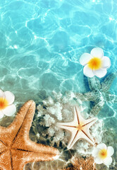 Starfish, seashell and flower on the summer beach in sea water. Summer background.