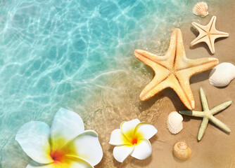 Fototapeta na wymiar Starfish, seashell and flower on the summer beach in sea water. Summer background.