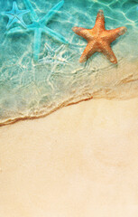 Starfish on the summer beach in sea water. Summer background. - 735330401