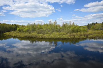 Fototapeta na wymiar Forest river in May.