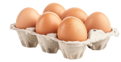 Eggs in paper egg tray on transparent background