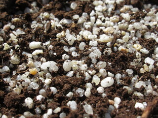 Zbliżenie na mieszankę torfu ze żwirkiem kwarcowym 
