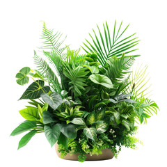 Set of Tropical leaves isolated on transparent background. Beautiful tropical exotic foliage