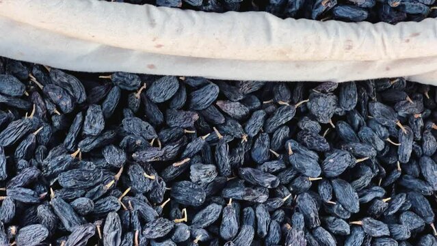 Dried Fruits, nuts and Spices market in Samarkand, Uzbekistan - June 29, 2023: Goods and traders at the Oriental Bazaar in Uzbekistan. Siab Bazaar is the largest and oldest bazaar in Samarkand. 4K