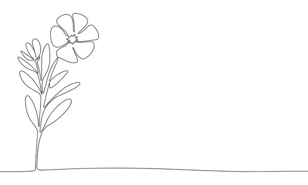 Flower one line continuous line. Line art wedding flower outline banner in minimal style. Hand drawn vector art.