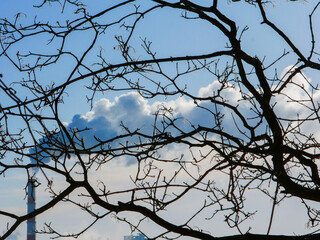 Industrial smoke from a chimney against the background of the sky and bare tree branches. Ecological concept.
