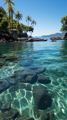 A body of water with rocks in the foreground and palm trees in the background.