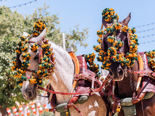 Fototapeta premium Elegant Horses Adorned for Seville April Fair Celebration