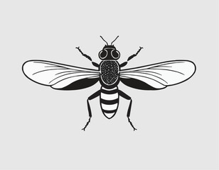 Fly insect icon. High quality black vector illustration
