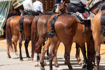 Elegant horses and riders at the vibrant Seville Fair