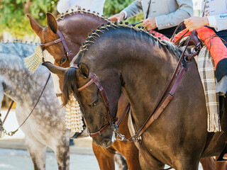 Naklejka premium Elegant horses and riders at the vibrant Seville Fair