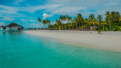 Maldives island beach. Tropical landscape of summer scenery, white sand with palm trees. Luxury...