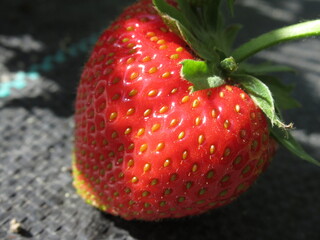 Zbliżenie na owoc truskawki