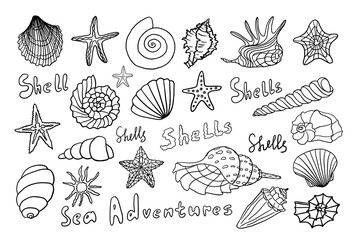 Set of different types of seashells. Marine shell, starfish, snail, scallop. Travel design. Beach. Hand drawn. Doodle style. Vector illustration for cards, posters, stickers and professional design
