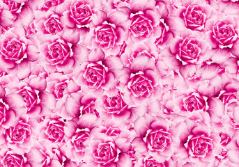 Many roses flower seamless pattern 