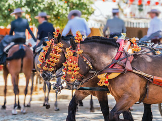 Elegant Horses Adorned for Seville April Fair Celebration