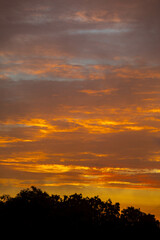 Fototapeta na wymiar Beautiful idyllic sky at dawn with strong yellow and orange colors