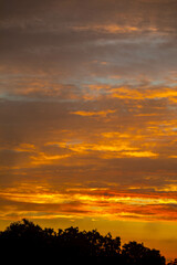 Beautiful idyllic sky at dawn with strong yellow and orange colors