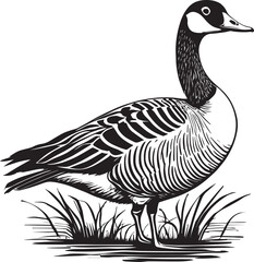 An illustration of a standing canadian goose.