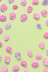 Fototapeta na wymiar Floral stylish border frame of pink and purple flower aster on green background. Spring and summer colorful flowers pattern. Flat lay, top view, mockup, copy space for text.