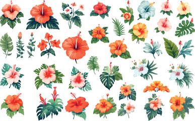 set of hibiscus Hawaiian tropical floral nature vector leaf aloha design decorations graphic, silhouette surf surfing tropics art collection decorative